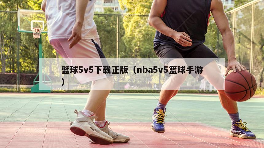 篮球5v5下载正版（nba5v5篮球手游）